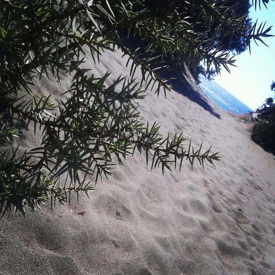 Cedrus And Sea, Beachfront House, Gennadi, Rhodes Exterior photo